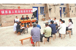 甘肃镇原县法院孟坝法庭巡回审理一起侵权纠纷案