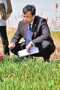 稻田里火药味十足的“药官司”解决了